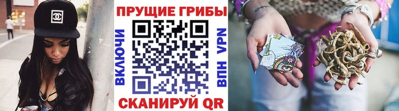 Псилоцибиновые грибы MAGIC MUSHROOMS Лосино-Петровский